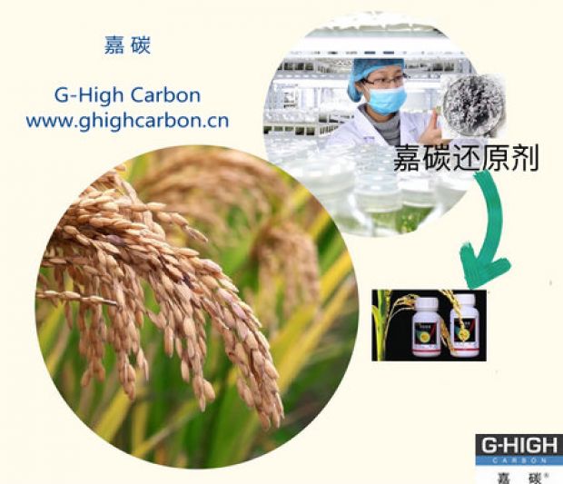 嘉碳还原剂，助力农产品增产增收