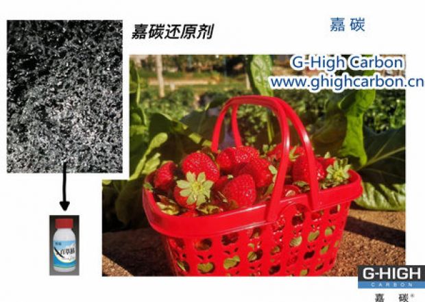 嘉碳还原剂守护“莓”好，甜蜜上线