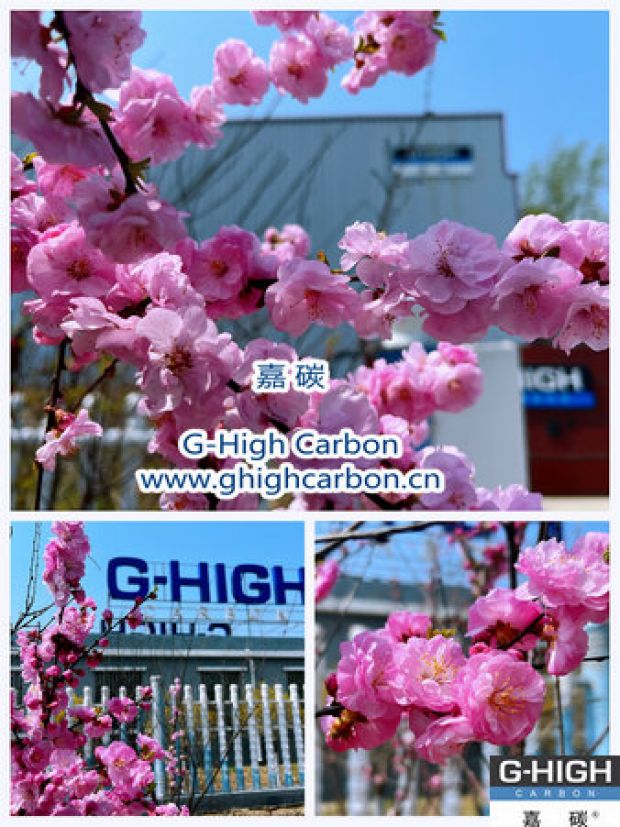 环保嘉碳，春花烂漫