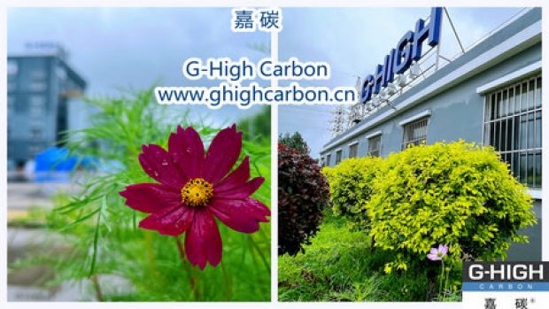 雨后花开