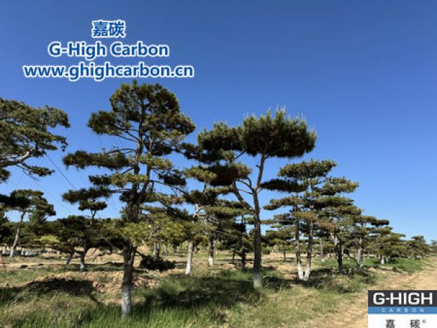 美化厂区环境