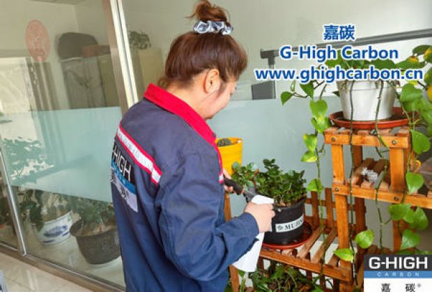 午休时光种花忙，美化办公环境添绿意