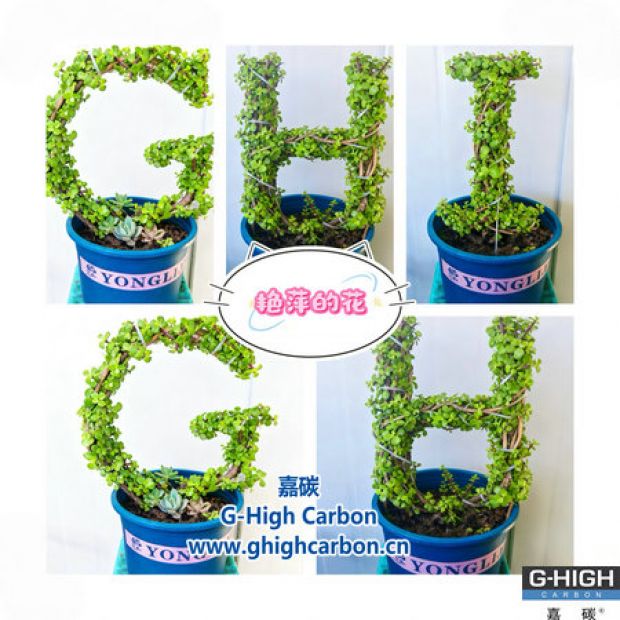 手握增碳剂精研工作，心藏巧思筑花艺生活