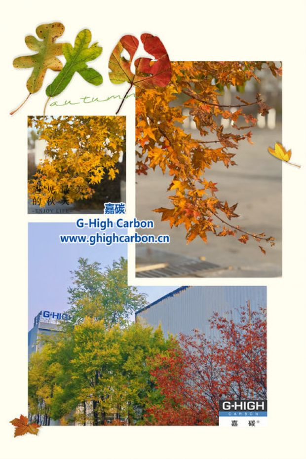廿载秋华 嘉碳品润时光
