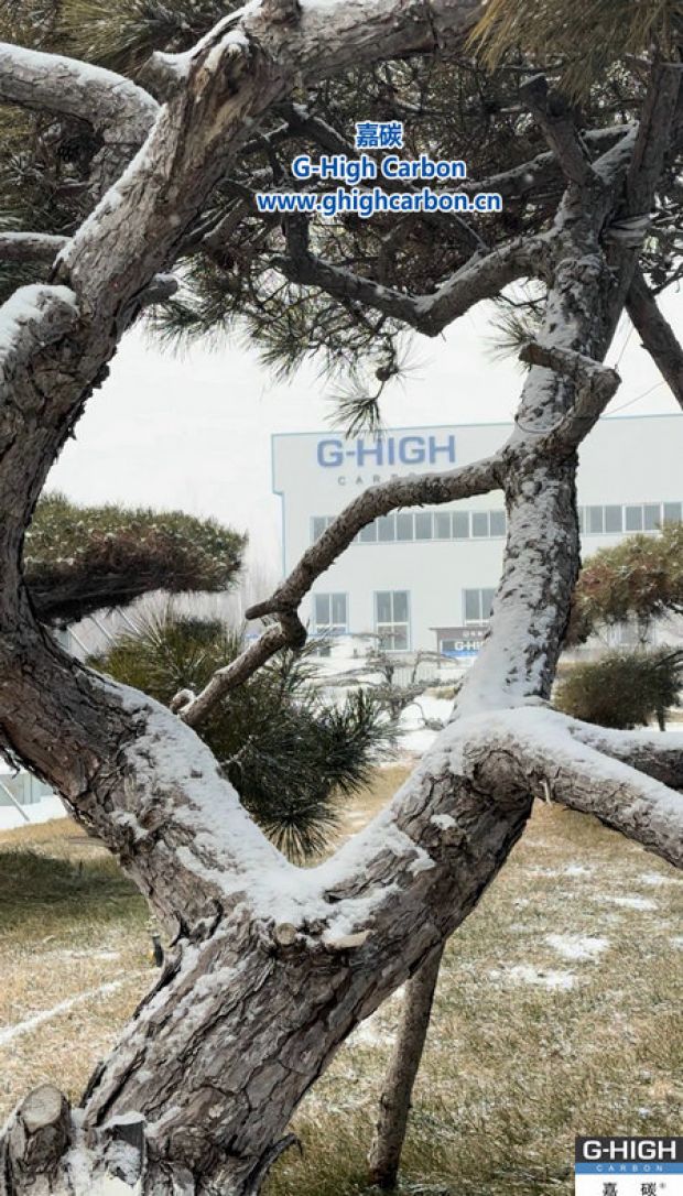 青松覆雪 增碳剂赋能精工