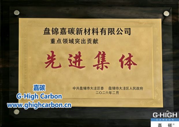 嘉碳获先进集体称号