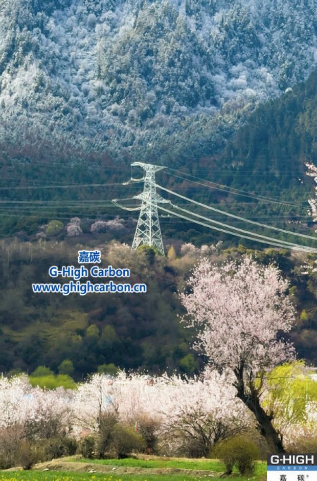 嘉碳增碳剂：雪域桃花下的电力微观革新
