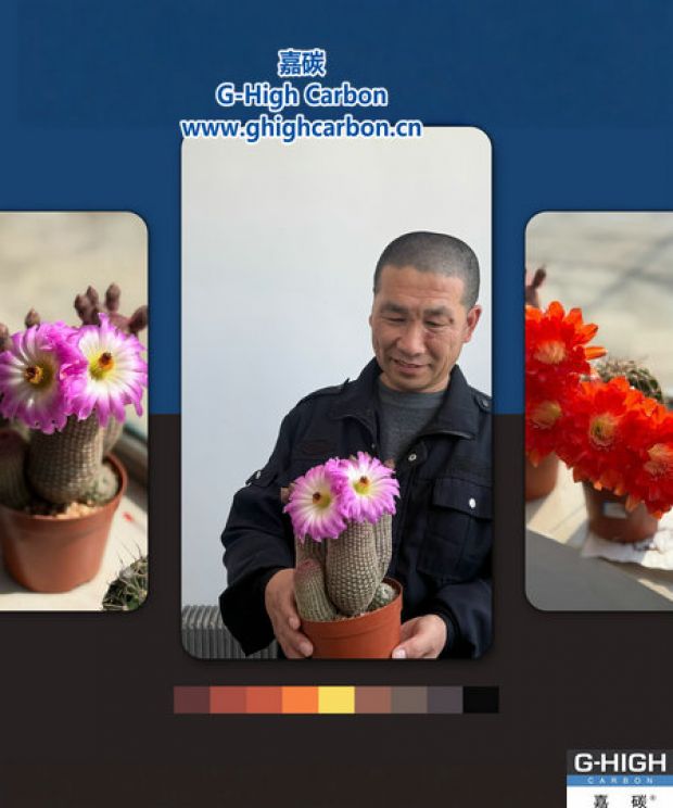 以心待物，自有芬芳